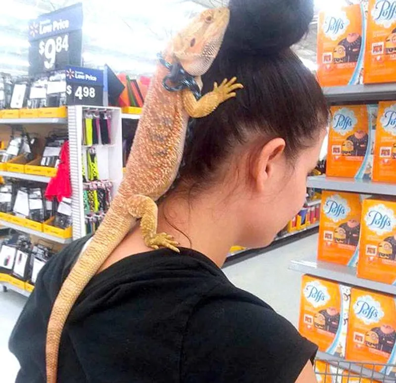 30+ Photos That Prove Walmart Is One Wacky Place