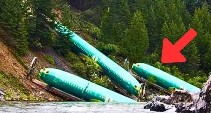 Lost Planes Found After Decades – Researchers Burst Into Tears When They See What’s Inside. Video in first comment