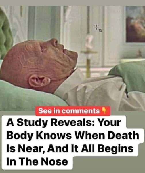 Your Body Knows When Death Is Near