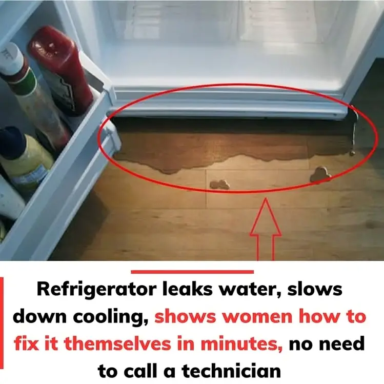 Refrigerator leaks water, slows down cooling