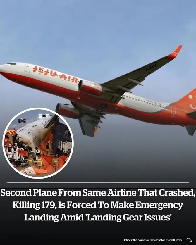 Second plane from same airline that crashed, killing 179, is forced to make emergency landing amid ‘landing gear issues’