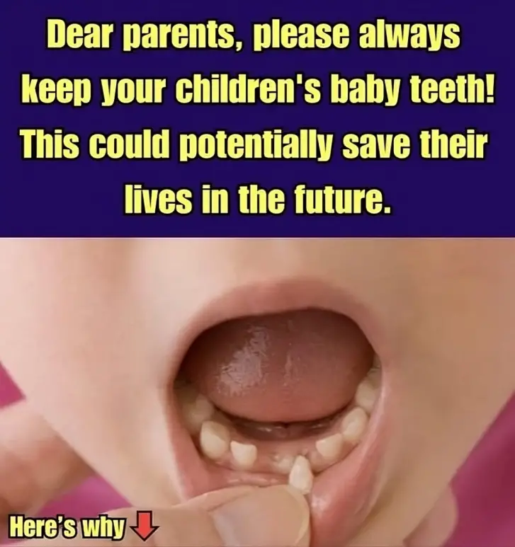 Attention, Parents! You Might Want To Hold On To Your Kids’ Baby Teeth